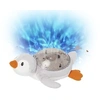Image de Veilleuse Tranquil Penguin