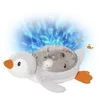 Image de Tranquil Penguin 