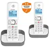 Image de Pack Duo F 860 Duo avec fonction blocage des appels publicitaires blanc gris