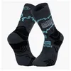 Image de BV Sport - Trek GR Haute Polyamide - Chaussettes randonnée Gris / Bleu - 39 - 41