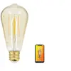 Image de - Ampoule LED connectée KOZii, éclairage multi-blancs, Filament E27 ST64 au verre ambré, 4,9W cons. Variation de luminosité - KRFDE470STACCT
