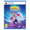 Image de Kao The Kangaroo PS5
