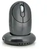 Image de Souris Pc D'Ordinateur Sans Fil Distance 10 Mètres Avec Dock Et Hub USB 4 Port