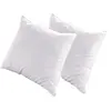 Image de Olympe - Lot de 2 oreillers natura - duvet & plumes - mi-fermes - 65 x 65 cm