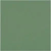 Image de TISSU 100% COTON UNI vendu au mètre(...) - Vert (vert de gris)