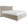 Image de Mendoza - lit coffre - 160x200 - sommier inclus - en velours - Beige