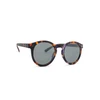 Image de Izipizi Sun #M Tortoise
