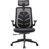 Image de Chaise ergonomique pour bureau Iconic