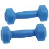 Image de Paire d'haltère ciment Sporti 05 Kg Bleu 0,5 kg 044010