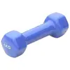 Image de Sporti France Haltère Vinyl 1kg 2 Unités 1 kg