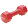 Image de Sporti France Haltère Vinyl 0.5kg 2 Unités 0.5 kg