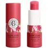 Image de Gingembre rouge - baume lèvres sublimateur