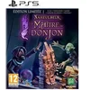 Image de Le Maître du DonJon de Naheulbeuk Edition Limitée PS5