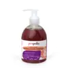 Image de Savon liquide mains purifiant Propolis & Romarin Propolia