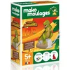 Image de Kit Creatif Tyrannosaure