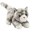Image de Peluche Chaton Joueur Gris - 20 Cm