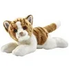 Image de Chat Roux et Blanc Couche 30cm