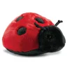 Image de Peluche Coccinelle - 20 Cm