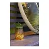 Image de Ananas solaire -