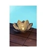 Image de Nénuphar solaire -