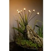 Image de Decoration lumineuse solaire G4435 - Forme bouquet - 8 LED - H69 cm