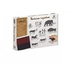 Image de Kit outils et tampons Crealign Peinture Rupestres