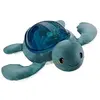 Image de Veilleuse Projecteur effets aquatiques Tortue Aqua Dream Vert