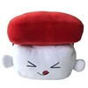 Image de Coussin - Sushi 30cm - Thon