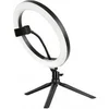 Image de SRING 10'' kit anneau lumineux 25cm