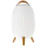 Image de Lanterne nomade musicale Ambiant XL
