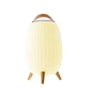 Image de Lanterne nomade musicale EZIlight® Ambiant XL