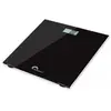 Image de SB2 - Balance