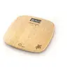 Image de Soft Bambou Tortue USB-R