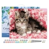 Image de Peinture par Numéro Figured'Art avec Cadre - Chaton enrobé - Kit de Loisir Créatif DIY Numéro d'Art Complet - 40x50cm toile tendue sur châssis