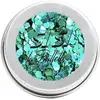 Image de Paillettes