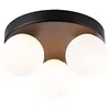 Image de Paulmann 71069 Plafonnier Selection Bathroom Gove IP44 G9 230V max. 3x20W gradable Noir mat, Satin luminaire de salle de bain en occasion ou reconditionné