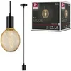 Image de Luminaire en suspension Ravi IP44 E27 max. 60W Noir mat gradable