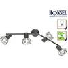 Image de 2605.032 spot de plafond ran gris mat, grille chrime, spots pivotant, douille e14 fischer honsel 22266