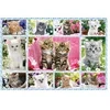 Image de Puzzle 100 Pièces : Chatons, Spiele