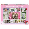 Image de Chatons Puzzle 100 Pieces