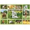 Image de SCHMIDT AND SPIELE Puzzle enfant - Bebe animaux a la ferme - 100 pcs