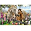 Image de Puzzle 150 pièces : Jument et poulain