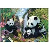 Image de Puzzle 500 pièces : La famille panda à la cascade