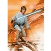 Image de Puzzle 1000 pièces : Star Wars : Courageux Schmidt