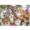 Image de Puzzle 500 pièces : Selfie de chats