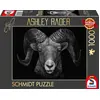 Image de Puzzle 1000 Pieces - Dominant   Le Belier : Sous Le Signe Du Feu