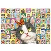 Image de Puzzle 1000 pièces : Mimique de chat