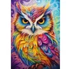 Image de Puzzle 1000 pièces : Le hibou-perroquet