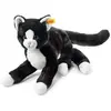 Image de Chat-pantin Mimmi