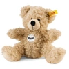Image de Ours Teddy Fynn